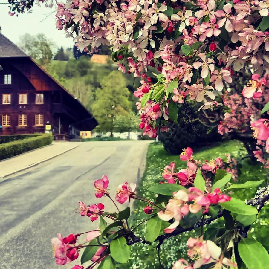 Emme Lodge Langnau im Emmental Exterior foto