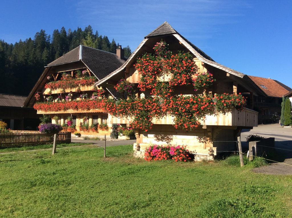 Emme Lodge Langnau im Emmental Exterior foto